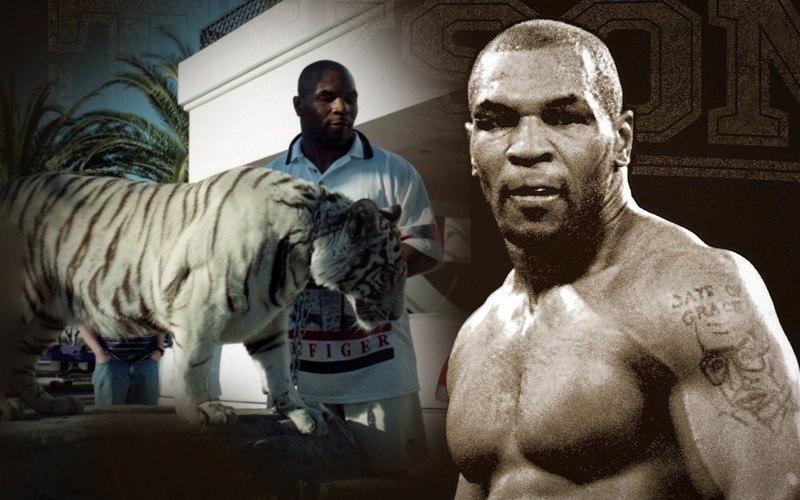 Thú chơi ngông thích nuôi hổ của Mike Tyson và giai thoại mất oan 6 tỷ đồng vì để vật nuôi ăn thịt người