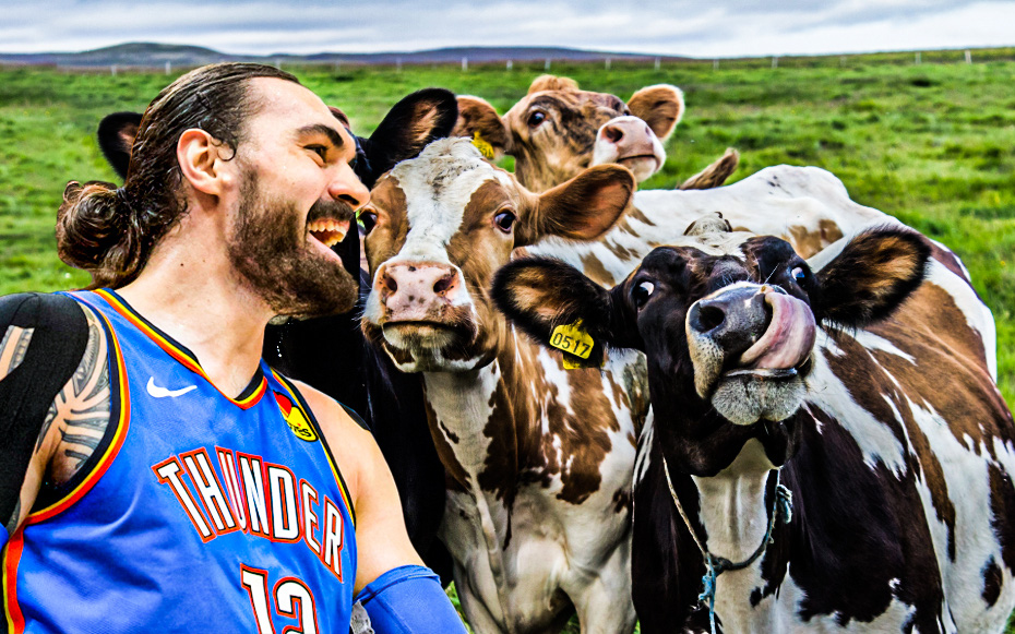 Steven Adams bật mí cách giữ dáng tại gia trong thời dịch: "Boxing out" cùng đàn bò và làm nông