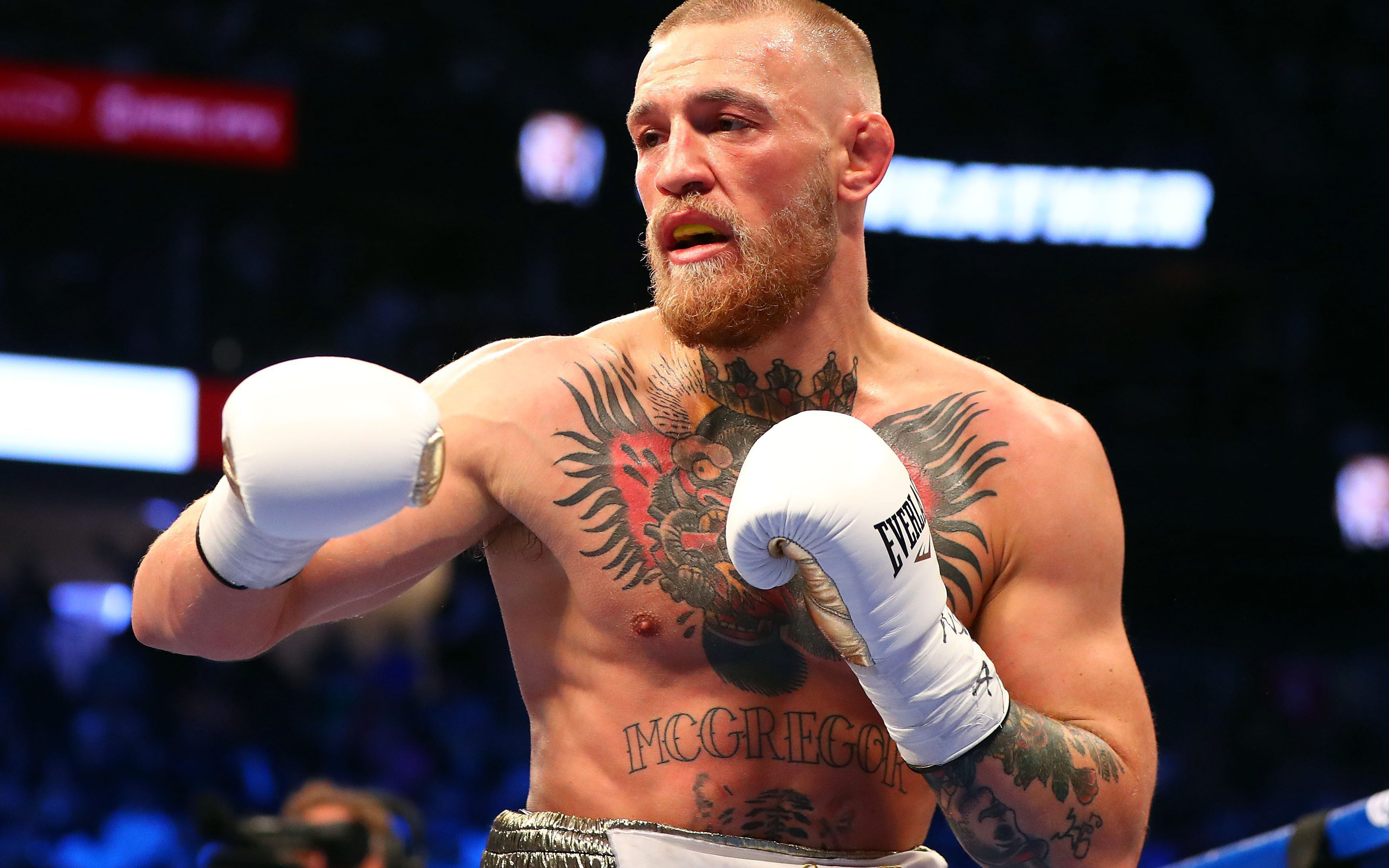 Chủ tịch Dana White: McGregor nên tập trung vào MMA, đấu boxing cần để năm sau