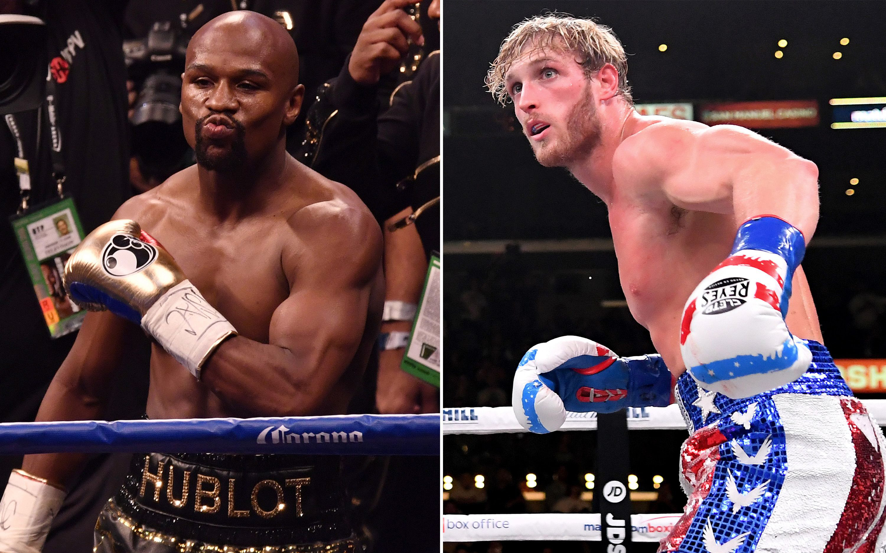 Floyd Mayweather tiếp tục hé lộ chi tiết trận đấu với Logan Paul