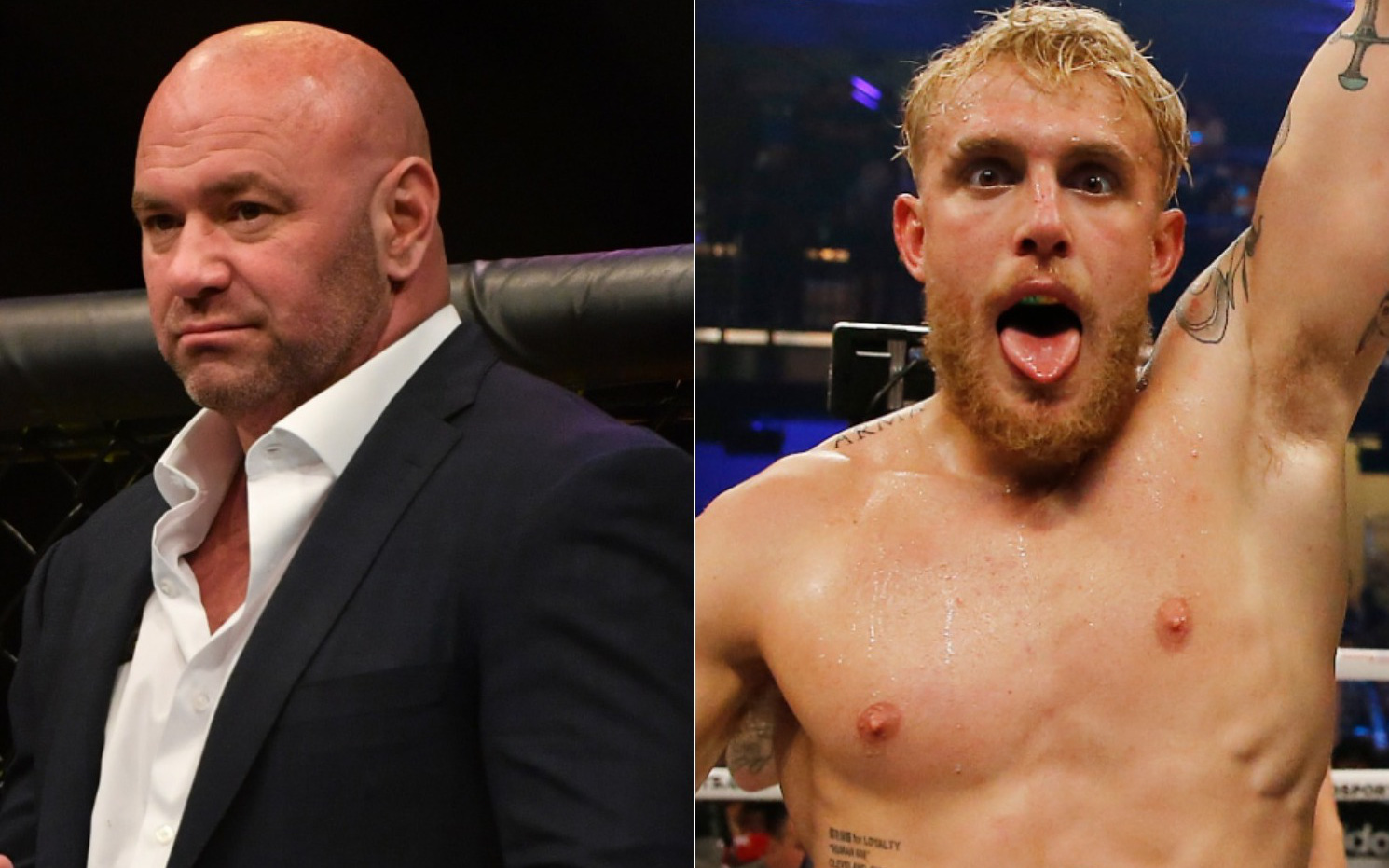 Dana White lần đầu lên tiếng về trận đấu giữa Jake Paul vs Ben Askren: Không có chuyện tôi mất 2 triệu USD