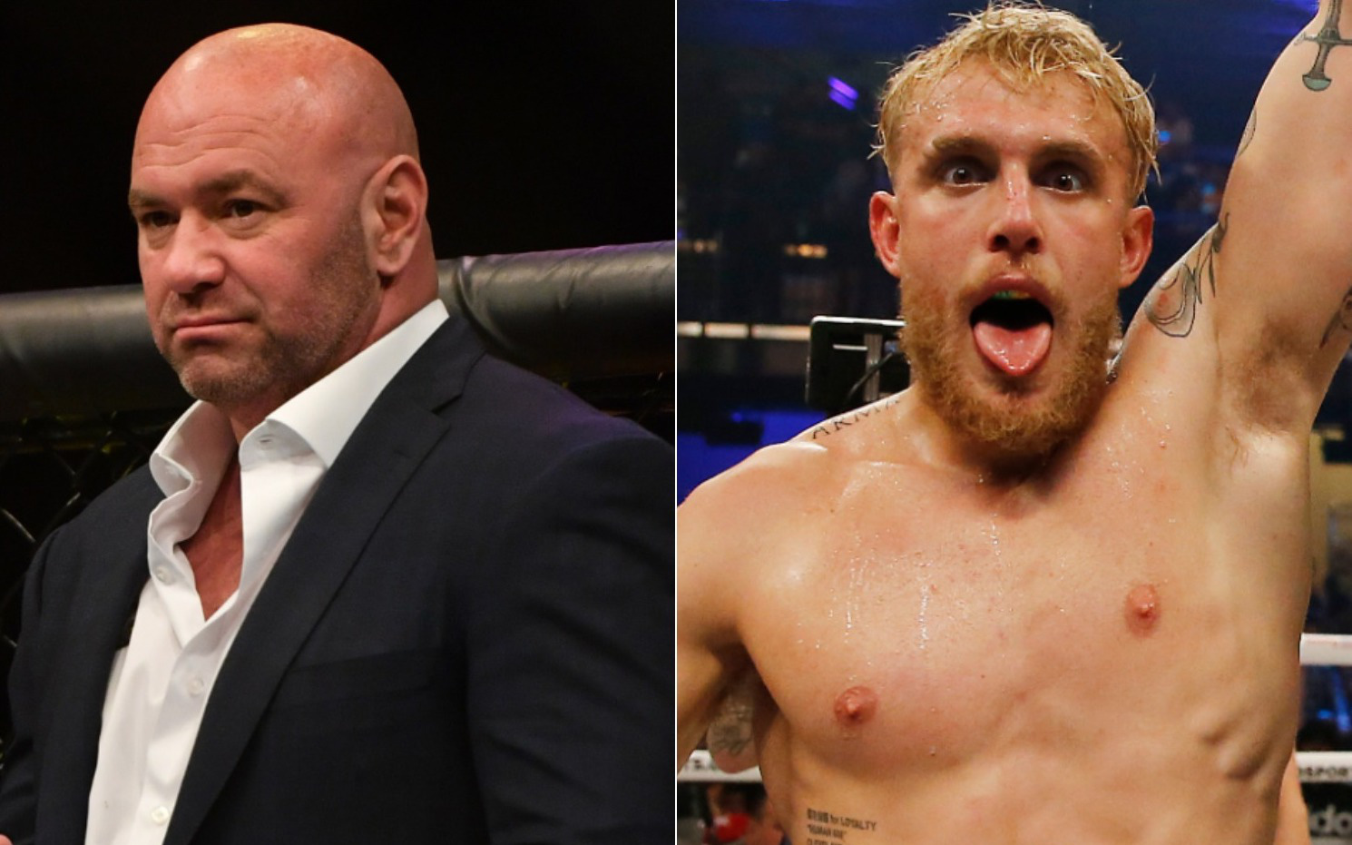 Dana White lên tiếng sau khi bị Jake Paul dọa hạ đo ván: Cậu ta thích so tài với những người có độ tuổi như tôi