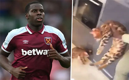 Zouma phải nộp phạt gần 8 tỷ đồng vì scandal đánh đập động vật