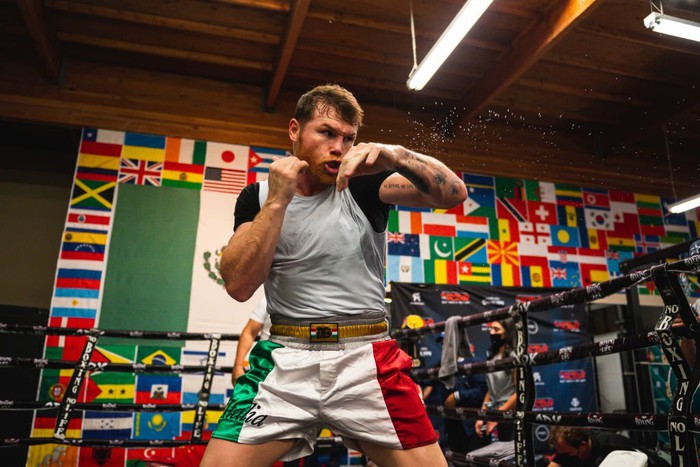 Tại sao Dmitry Bivol sẽ là đối thủ cực kỳ khó chơi với Canelo Alvarez? - Ảnh 3.